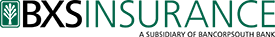 BSX Insurance logo 
