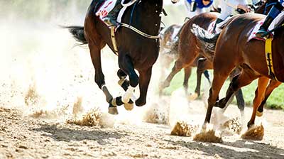 Horses Racing. Multiple horses tightly grouped with sand flying up from their hooves